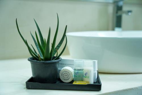 a potted plant sitting on a bathroom counter with a plant at J Leaf Hotel By Blue Bird in Negombo
