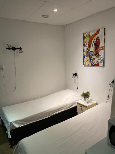 ドルドレヒトにあるブロム アーン デ フラーフトのベッド2台が備わる客室で、壁には絵画が飾られています。