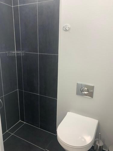 a bathroom with a toilet and a shower at Skovbakkegaardens Bed & Bath in Aalborg