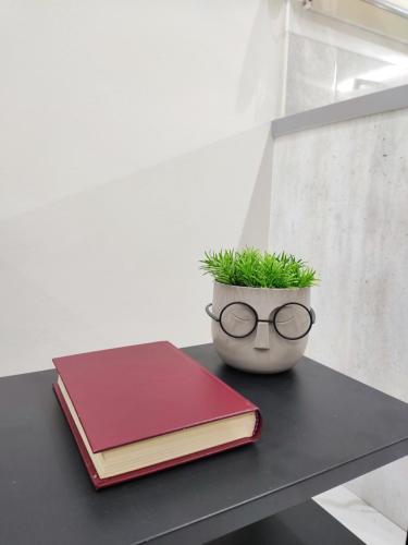 two books and a potted plant on a table at Chalkida Hilltop Apartments in Chalkida