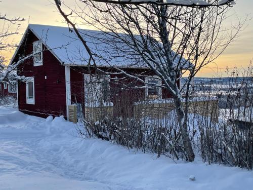 a red barn in the snow with a tree at Underbar Timmerstuga i Centrala Oviken in Oviken