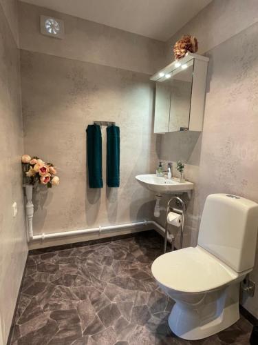 een badkamer met een wit toilet en een wastafel bij Timmerstuga i Centrala Oviken in Oviken
