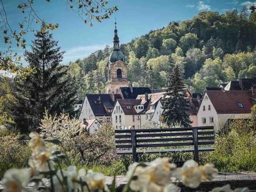 een stad met een kerk op de achtergrond met bloemen bij Chalet VitaSpa - Whirlpool & Sauna PrivatSpa in Pegnitz