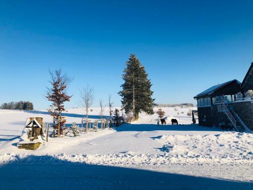 a snow covered yard with a house and trees at PEGASUS I - 2 chambres de luxe, cuisine, salon, 2 terrasses et sauna in Vielsalm