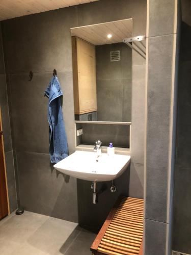 a bathroom with a sink and a mirror at LindegaardApartment - woods and sea in Hejls