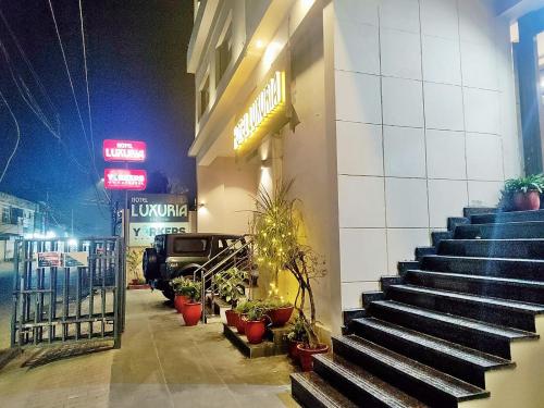a set of stairs outside of a building with potted plants at Hotel Luxuria in Ludhiana