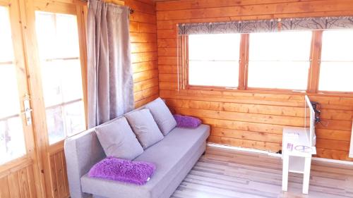 a living room with a couch and two windows at Stundarfriður cottages in Stykkishólmur
