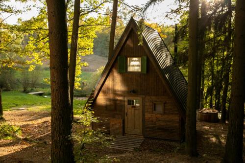 a small cabin in the middle of the woods at Hygge Chalet 