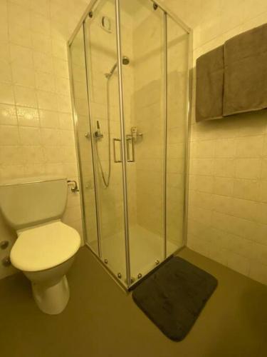 a bathroom with a toilet and a glass shower at Alloggio con favolosa vista lago Lugano Paradiso in Paradiso