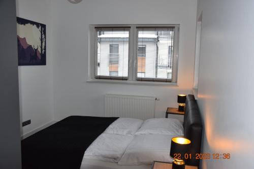 Postel nebo postele na pokoji v ubytování Apartament Spokojny