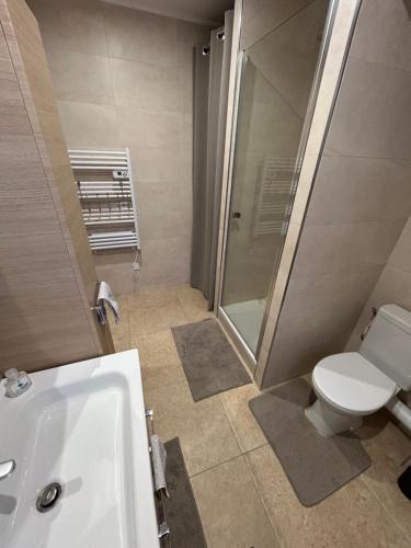 a bathroom with a shower and a toilet and a sink at Champagne & Grand Cru in Ay