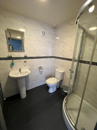 a bathroom with a toilet and a sink and a shower at The Black Horse Inn in Gainsborough