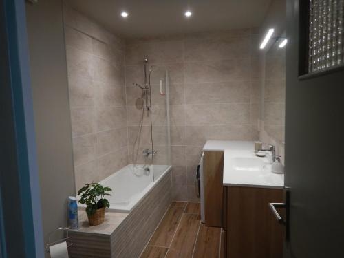 La salle de bains est pourvue d'une baignoire, d'un lavabo et d'une douche. dans l'établissement Studio Quartier Château - Wifi - Garage individuel à clé - Electroménager complet, à Pau