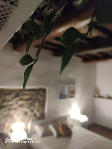 Billede fra billedgalleriet på Dante's Room dei Cerchi i Firenze