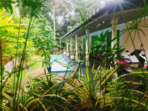 a house with a swimming pool in a garden at Happy Three Holiday Homes in Hikkaduwa