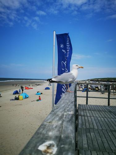 a seagull standing on a pier at the beach at Hotel Am Deich in Norddeich