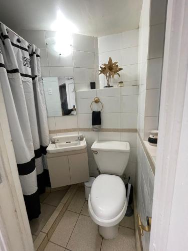 een kleine badkamer met een toilet en een wastafel bij Habitación pleno centro de Viña del Mar con entrada y baño independiente privado. r in Viña del Mar
