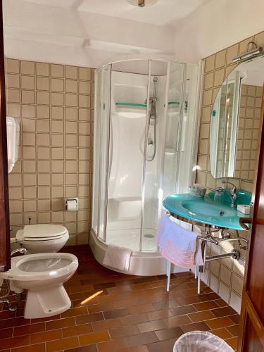 a bathroom with a shower and a toilet and a sink at Agriturismo Cervano in Toscolano Maderno