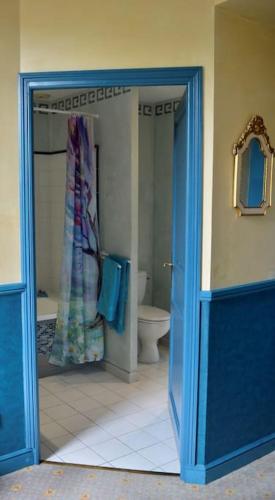 une salle de bain avec douche et toilettes dans l'établissement La Vue est Belle, à Montbrun-les-Bains