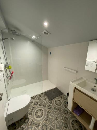 a bathroom with a shower and a toilet and a sink at TXORIENEA Rural in Irún