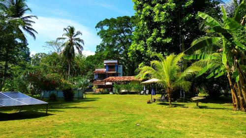 a house in the middle of a yard with palm trees at Los Robles Capurgana in Capurganá