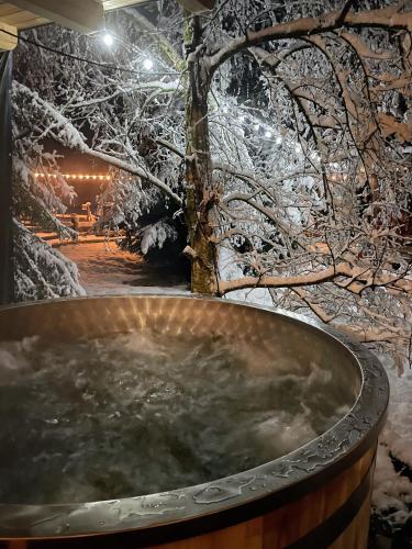 a bath tub with a tree in the snow at Holiday Raj in Bešeňová