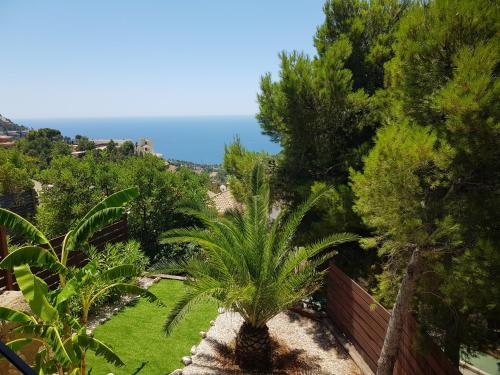 a palm tree in a garden with the ocean in the background at Casa Altea Hills, Vista panorámica, Jacuzzi in Altea