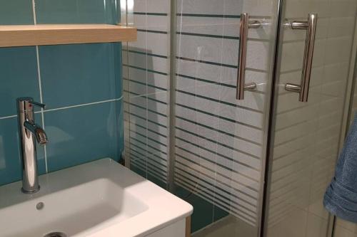 a bathroom with a sink and a glass shower at COSY FLAT in Bussy-Saint-Georges