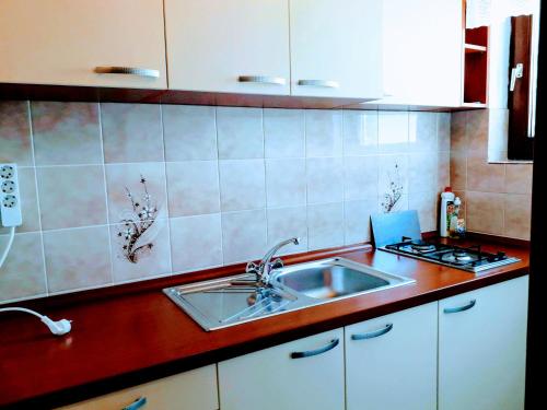 Il comprend une cuisine équipée d'un évier et d'une cuisinière. dans l'établissement Apartments Tiho&Marija, à Tribunj