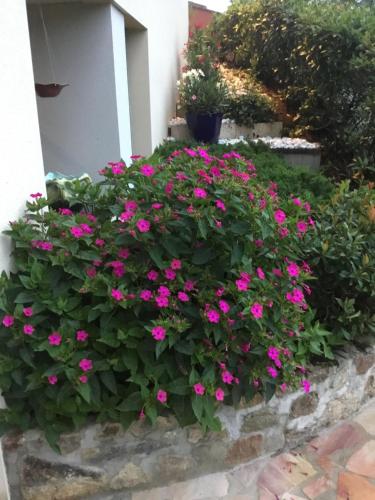 Κήπος έξω από το Chez Ghislaine et Robert