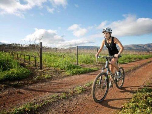 a person riding a bike on a dirt road at Benguela Cove - Oceans Away in Hermanus