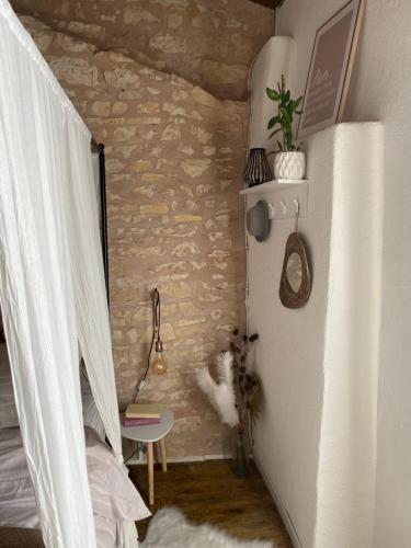 Maine-de-Boixe的住宿－La Maison du Commandeur，一只猫站在房间角落