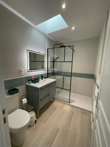 une salle de bain avec toilettes, lavabo et douche dans l'établissement Charmante maison au coeur du village de Saint-Trojan-les-Bains, à Saint-Trojan-les-Bains