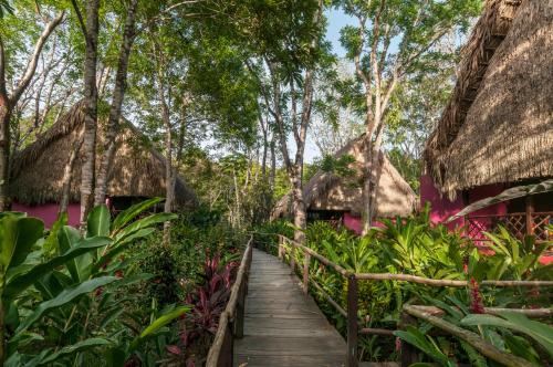 un chemin en bois traversant un jardin avec des toits de chaume dans l'établissement Las Guacamayas Lodge Resort, Selva Lacandona, Chiapas México, à Tlatizapán