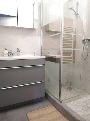 La salle de bains est pourvue d'une douche en verre et d'un lavabo. dans l'établissement BNB Le BOHEMIEN Hyper Centre 5' Train Station, à Orléans