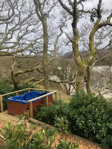 Gambar di galeri bagi Waterside Cader Cabin with Hot Tub di Barmouth