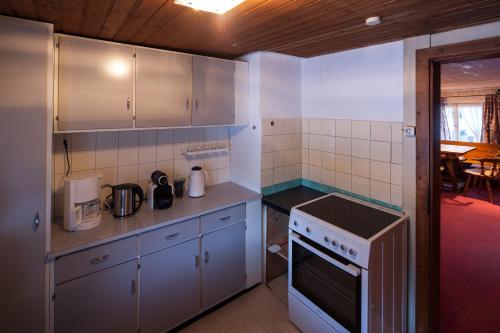 Kuchyň nebo kuchyňský kout v ubytování Alps Romantik