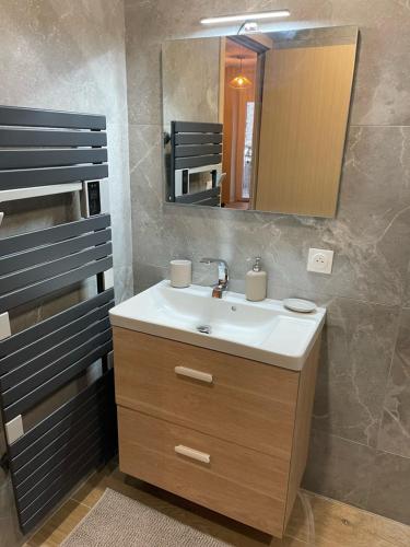 ein Bad mit einem Waschbecken und einem Spiegel in der Unterkunft Appartement Jungle centre confort et spacieux netflix wifi gratuit in Saint-Étienne