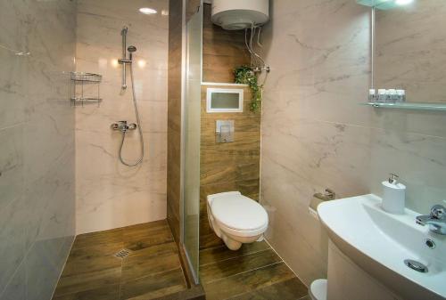 y baño con aseo, ducha y lavamanos. en Retro Apartment 11, en Plovdiv