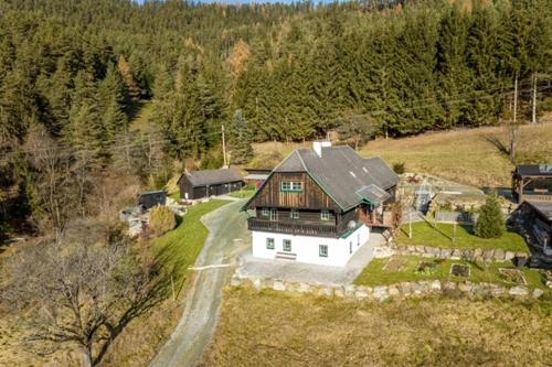 eine Luftansicht eines großen Hauses auf einem Hügel in der Unterkunft Urlaub auf der Alm "Deluxe" Matzlerberg in Lobming