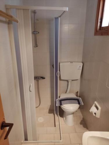 a small bathroom with a toilet and a shower at Kissandros Hotel in Agia Galini