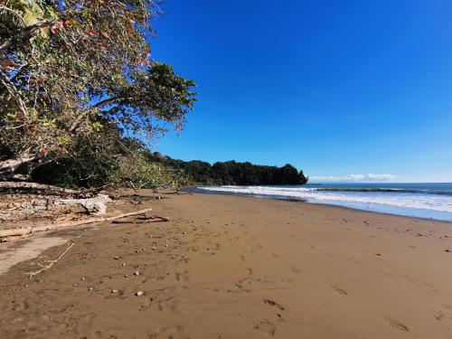 a beach with footprints in the sand and the ocean at Elan at Ballena Beach in Uvita