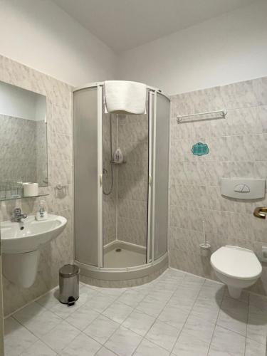 La salle de bains est pourvue d'une douche, de toilettes et d'un lavabo. dans l'établissement Bechnerův statek, à Lány