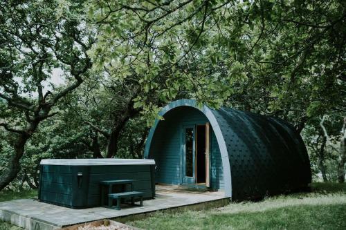 a small green house with a bench in front of a tree at Snowdonia Mawddach Cabin + hot tub in Barmouth