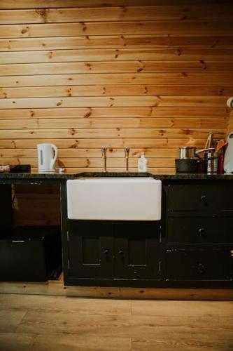 a kitchen with a sink and a wooden wall at Snowdonia Mawddach Cabin and hot tub Glamping in Barmouth