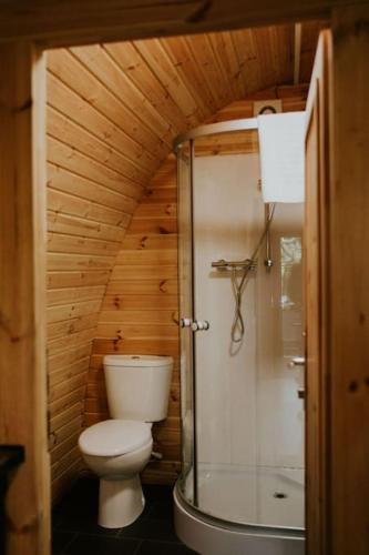 a small bathroom with a toilet and a shower at Snowdonia Mawddach Cabin and hot tub Glamping in Barmouth