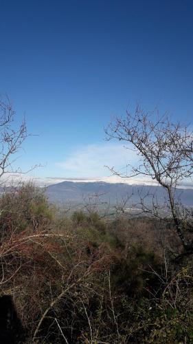 a view from the top of a hill with trees at Poggio La Grognola in Cannara