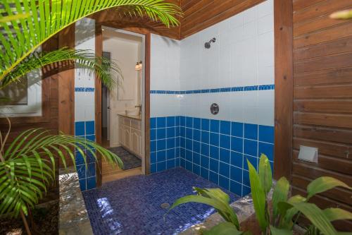 a bathroom with a blue and white tiled shower at Casa de Suenos Home in Sandy Bay