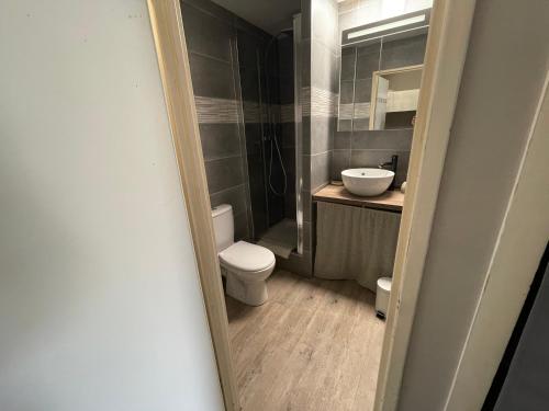 une salle de bain avec toilettes et lavabo dans l'établissement Appartement 4 personnes aux pieds des pistes Wifi Netflix, à Les Deux Alpes