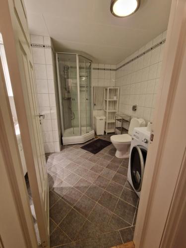 a bathroom with a toilet and a washing machine at Det Gamle Meieriet in Vidnes